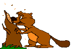 image animée castor